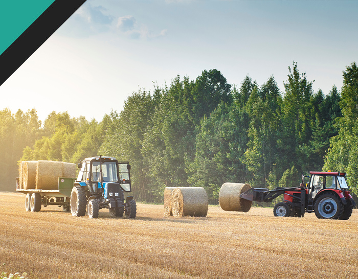 Two tractors working in a field, one with a trailer loaded with hay bales and the other lifting a round hay bale, surrounded by green trees and a clear sky.