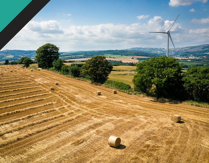 A scenic view of a golden hay field with large round bales scattered across the rows, framed by green trees and rolling hills in the background, featuring a wind turbine under a bright blue sky with fluffy clouds.