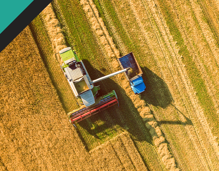 Aerial view of a green agricultural combine harvester working in a field, with a blue trailer collecting harvested crops, surrounded by rows of cut grass and standing wheat.